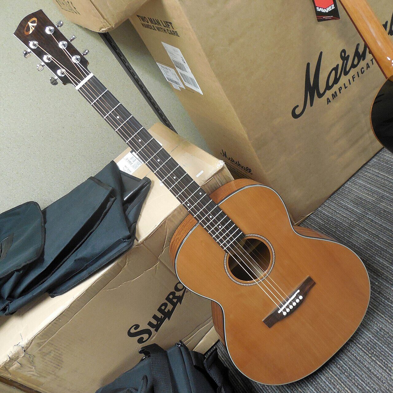 Search: Guitar for beginners — Niedenstein