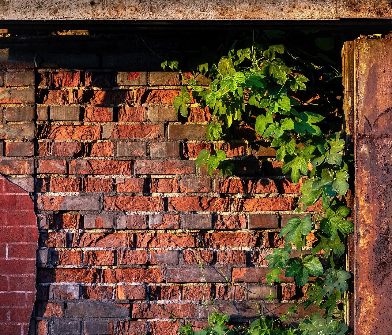 Construction materials: aerated concrete, brick, residual — Biberach an der Riss